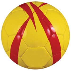 Training Ball
